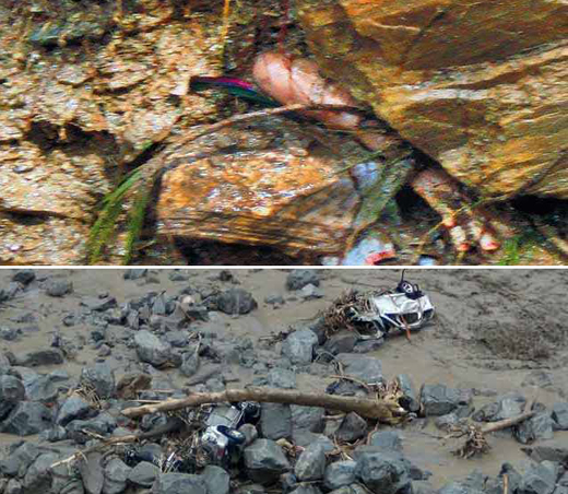 556 bodies found-uttarakhand flood